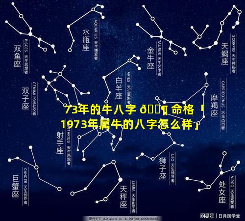 73年的牛八字 🐶 命格「1973年属牛的八字怎么样」